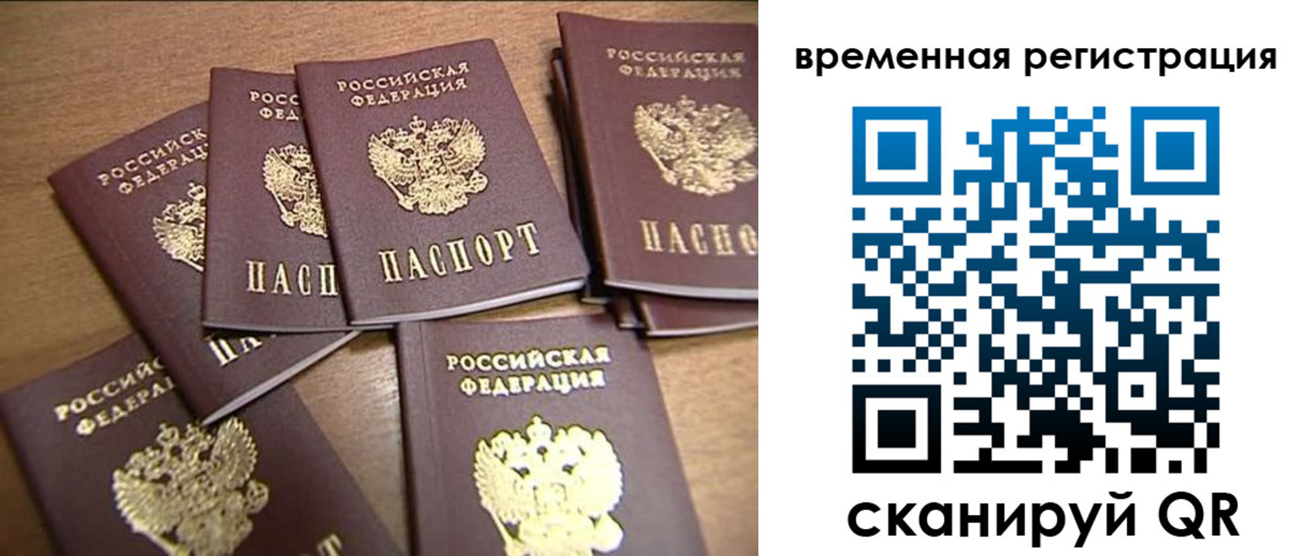 прописка ребенка в Каменск-Шахтинском